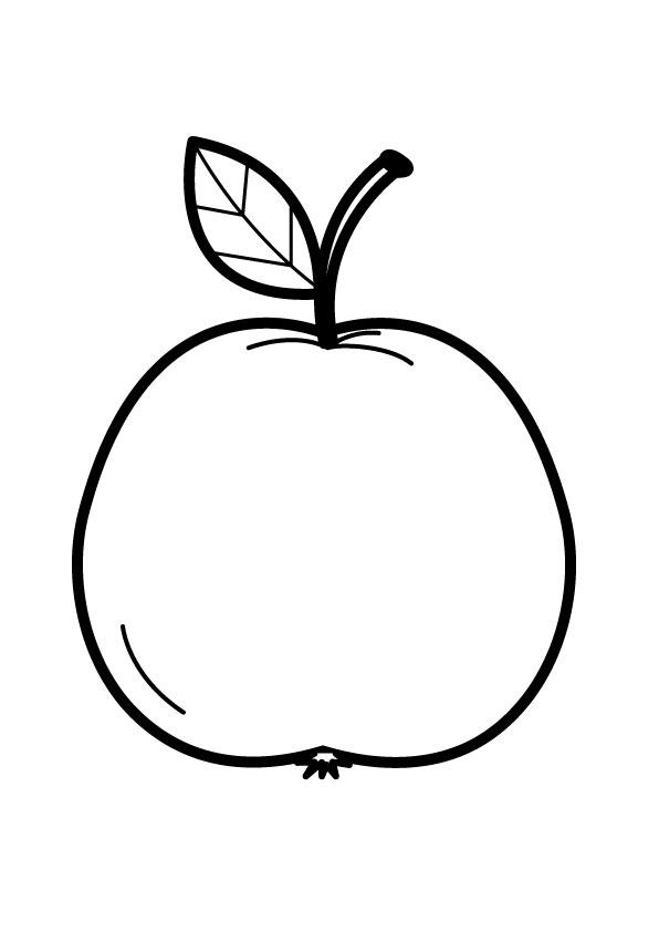 apfel Malvorlage apfel
