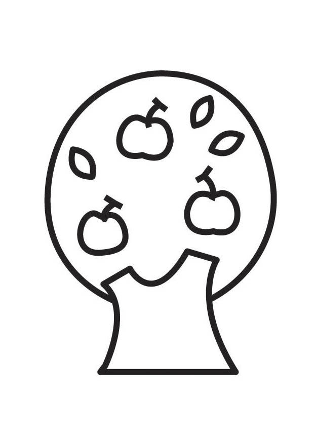 apfelbaum Malvorlage apfelbaum