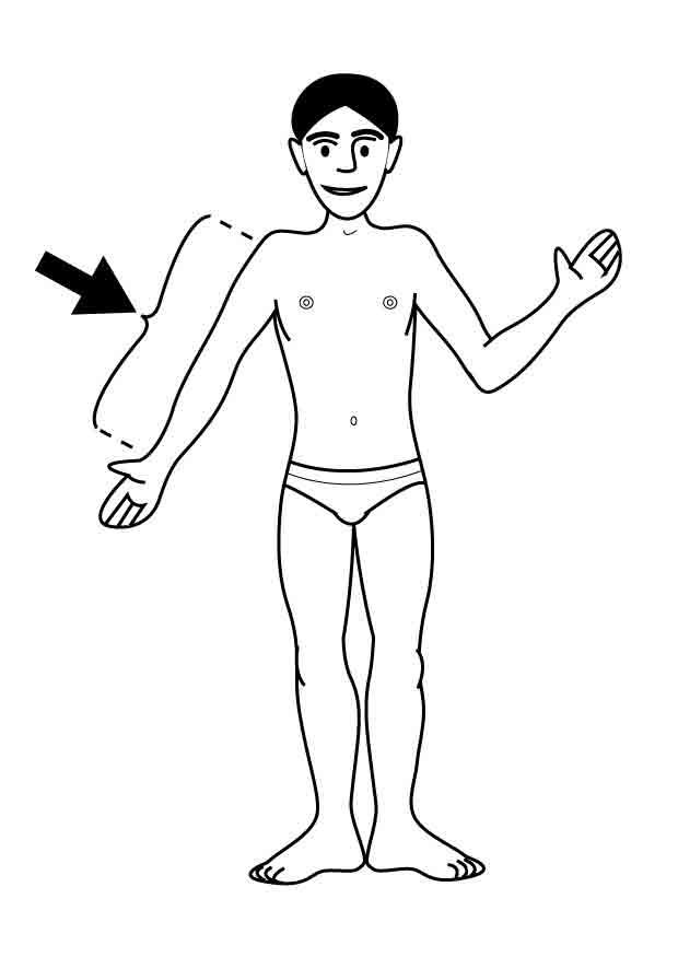 arm Malvorlage arm