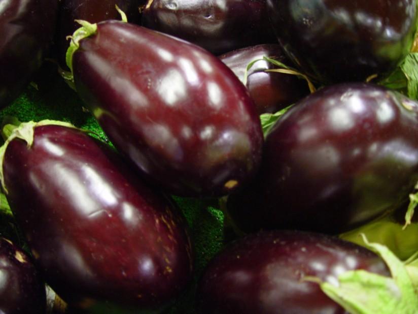 aubergine Foto aubergine