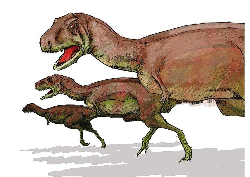 aucasaurus Bild aucasaurus