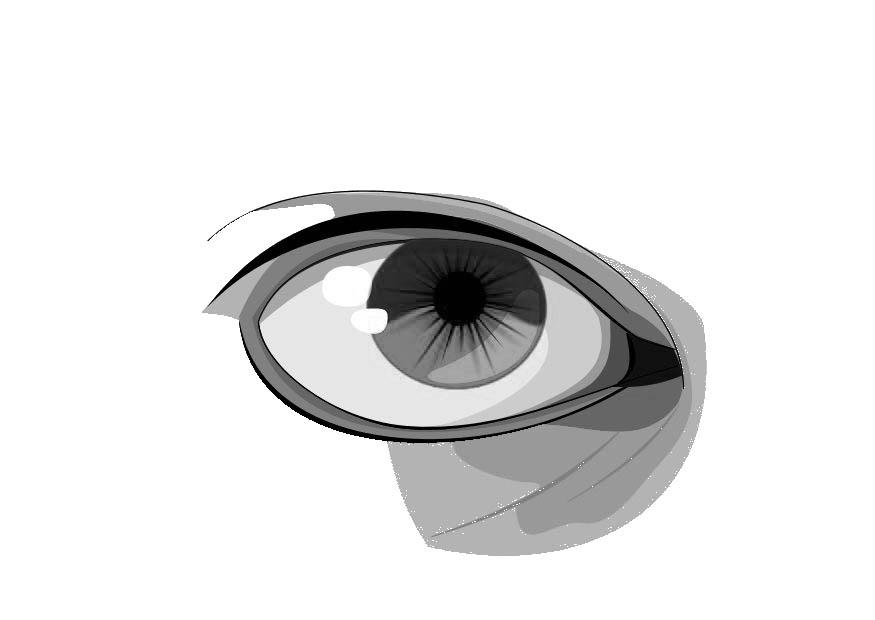 Malvorlage auge