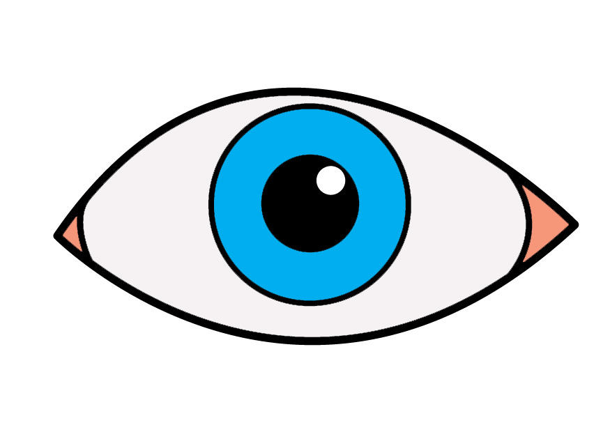 auge Bild auge