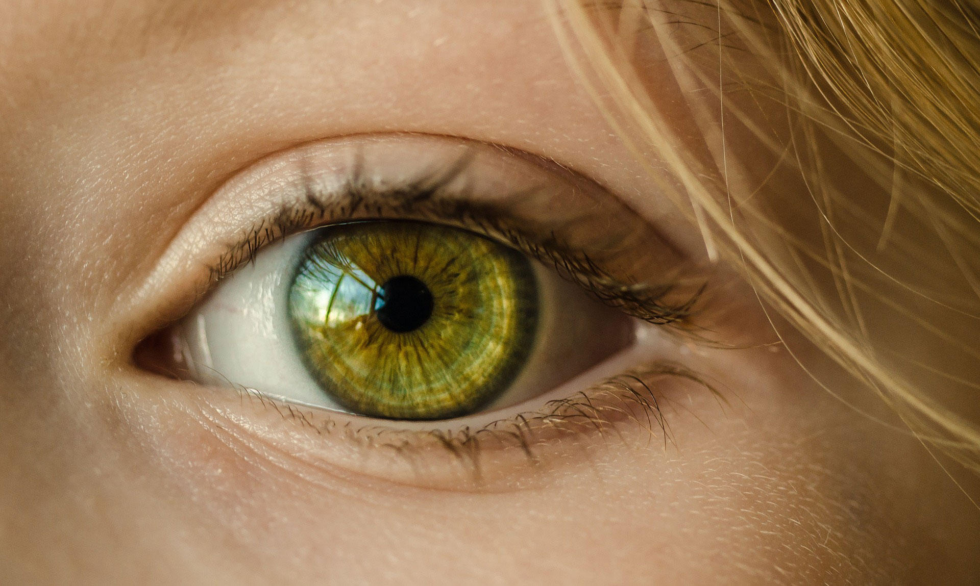 auge Foto auge
