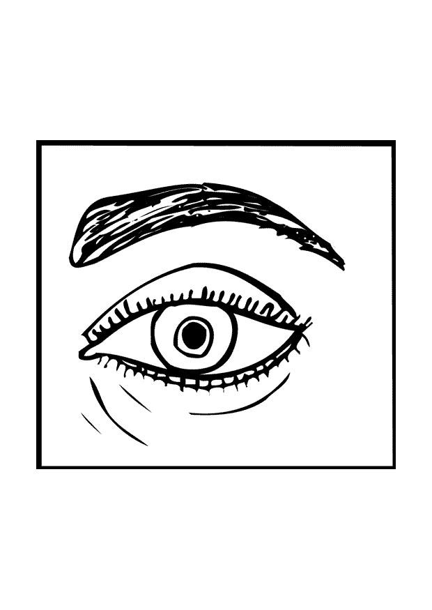 Malvorlage auge