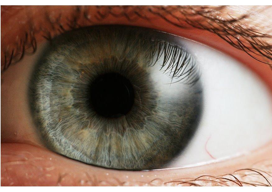 auge - iris Foto auge - iris