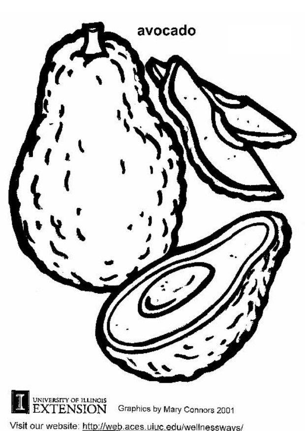 avocado Malvorlage avocado
