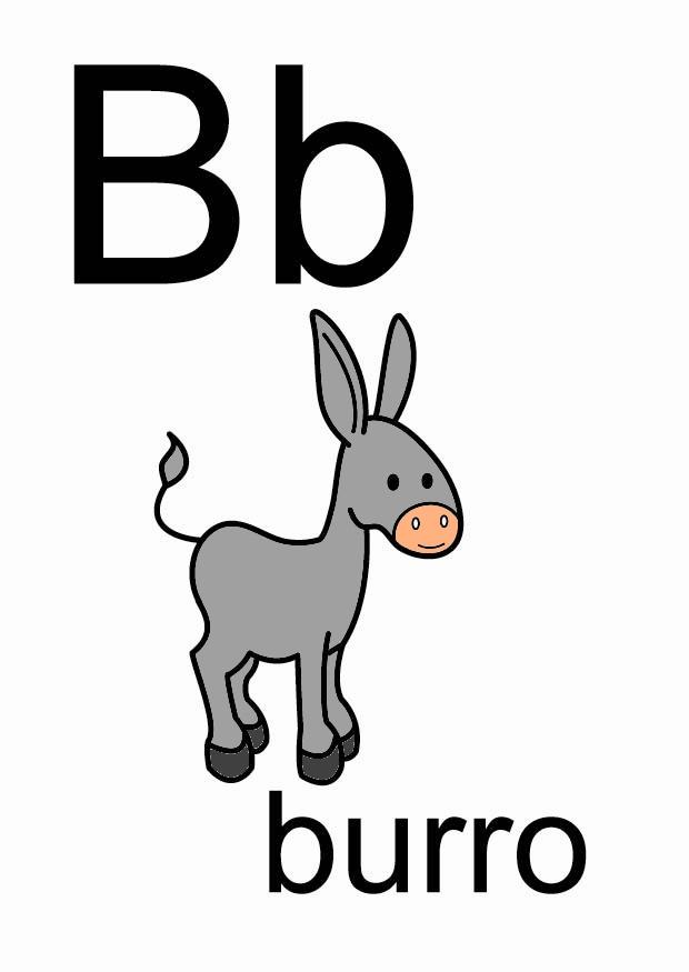 b Bild b