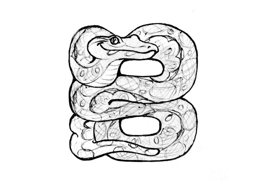 b-boa Malvorlage b-boa