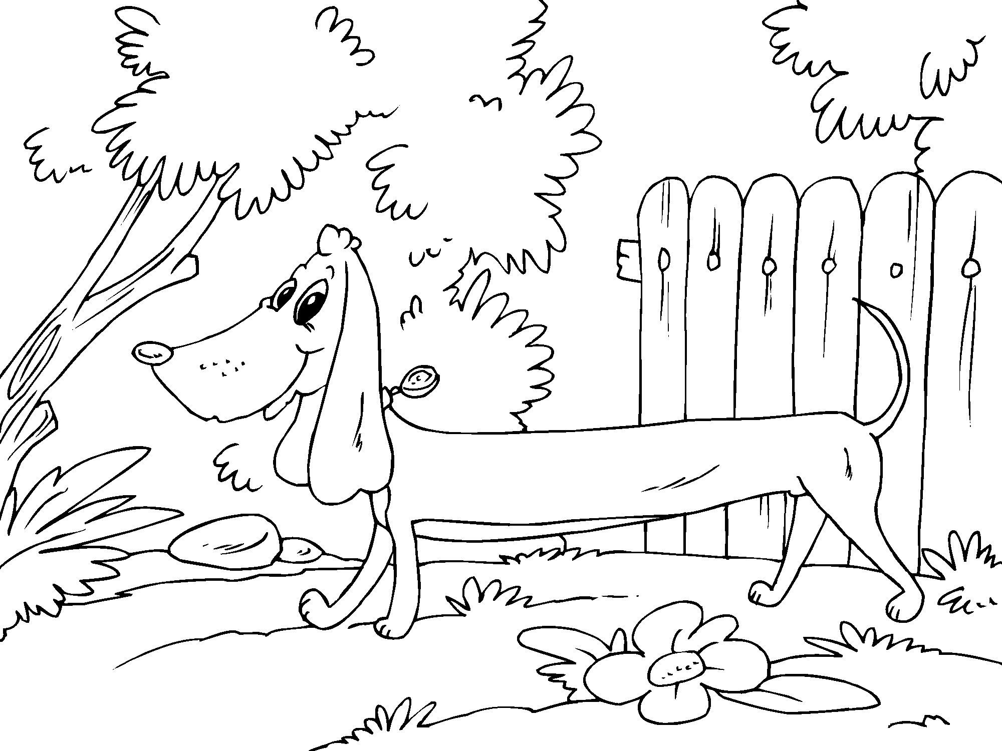 Malvorlage basset