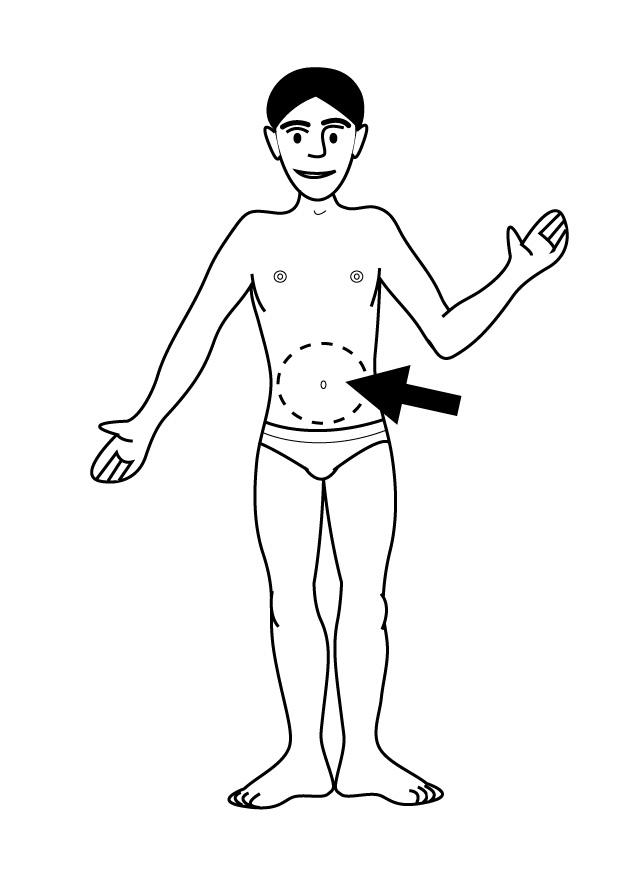 bauch Malvorlage bauch