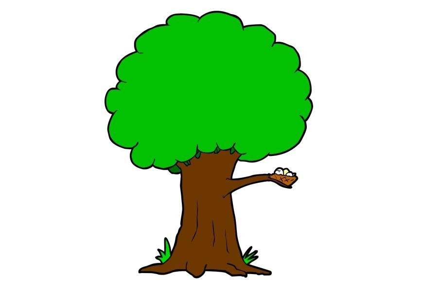 baum Bild baum