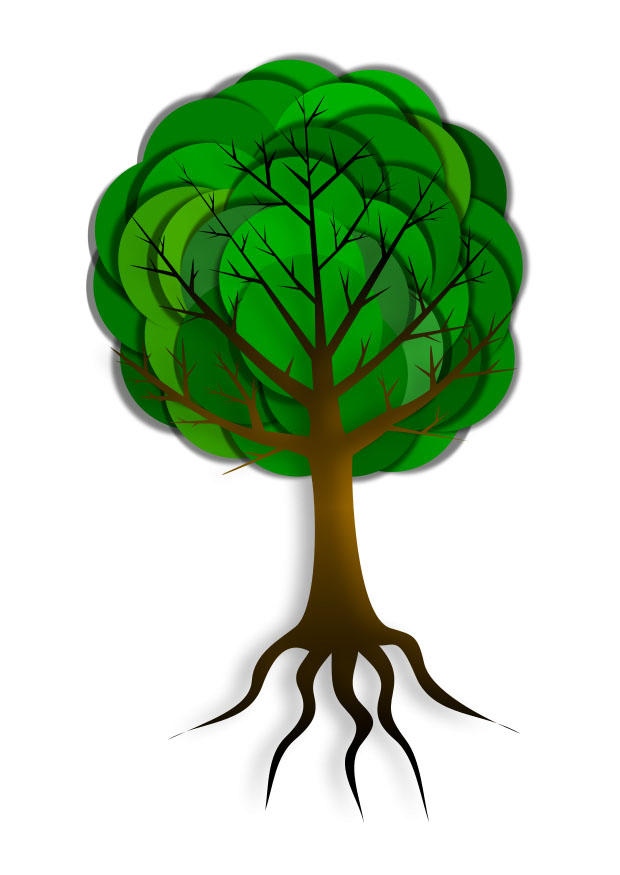 baum Bild baum