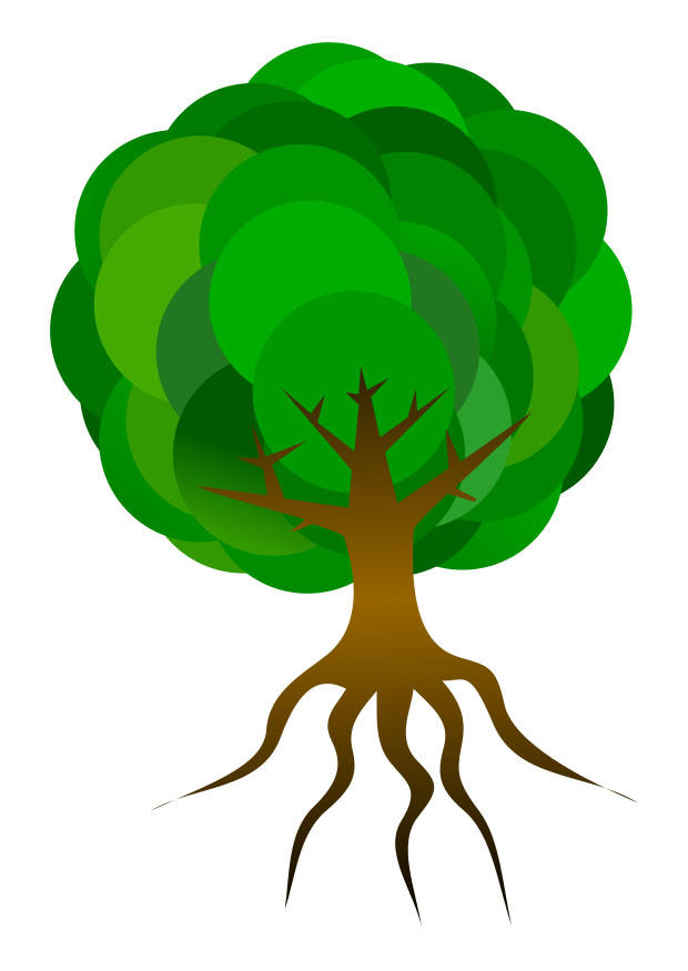 baum Bild baum