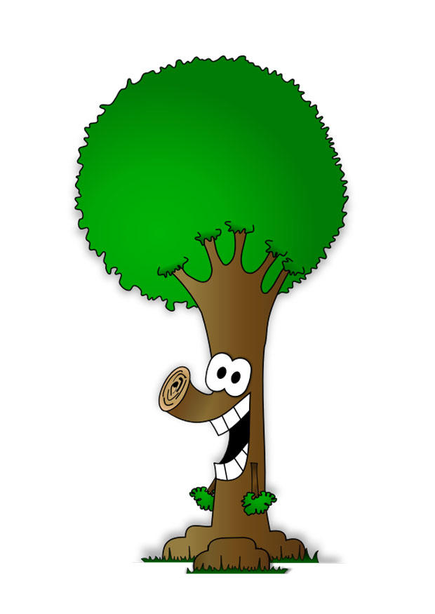 baum Bild baum