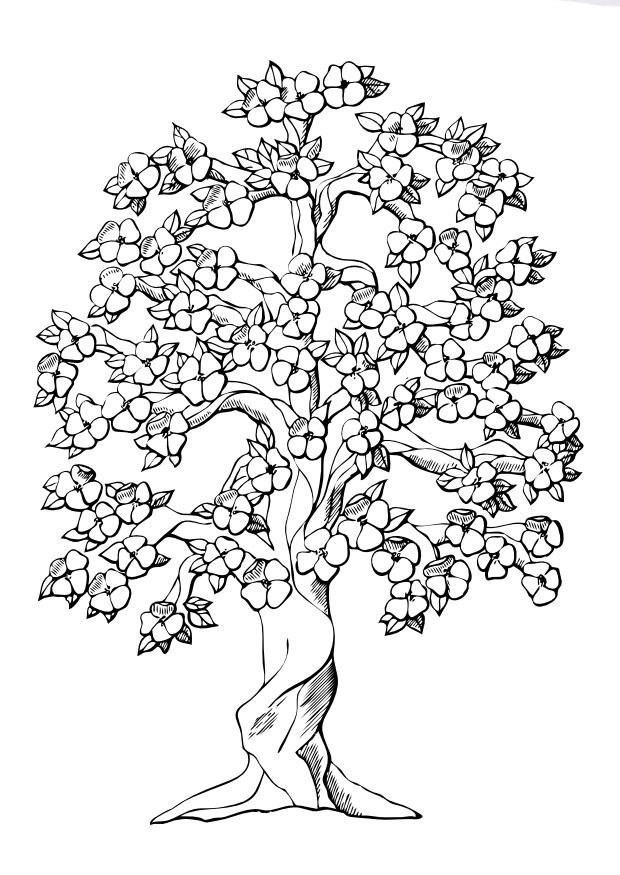 baum mit blA¼ten Malvorlage baum mit blA¼ten