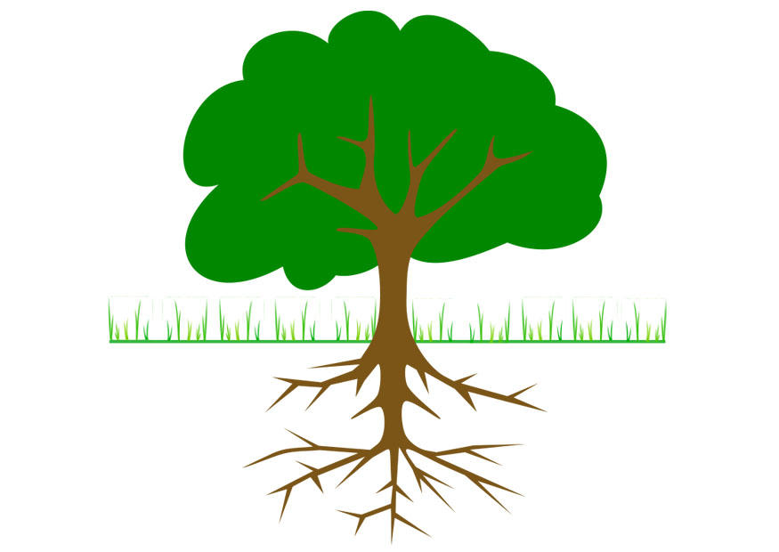 baum mit wurzeln Bild baum mit wurzeln