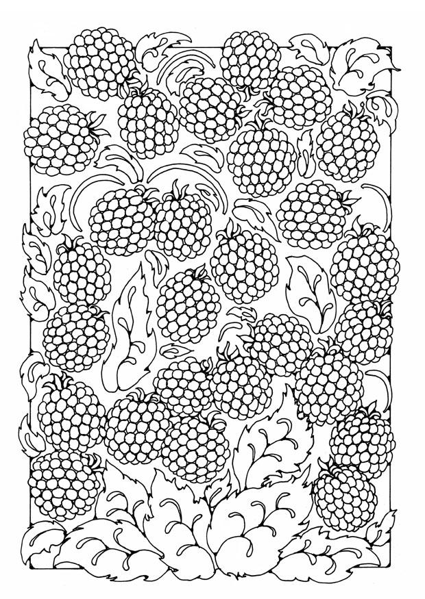 beeren Malvorlage beeren