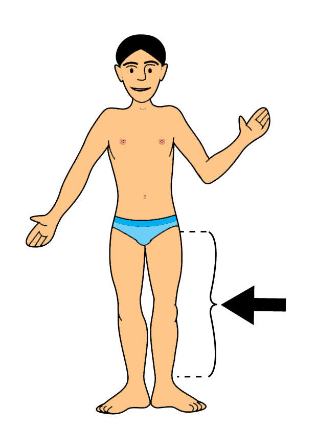 bein Bild bein