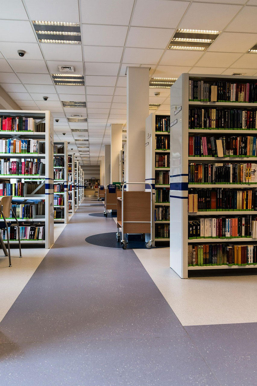 bibliothek Foto bibliothek