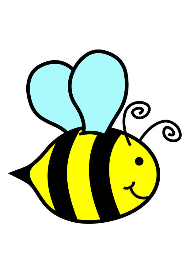 biene Bild biene