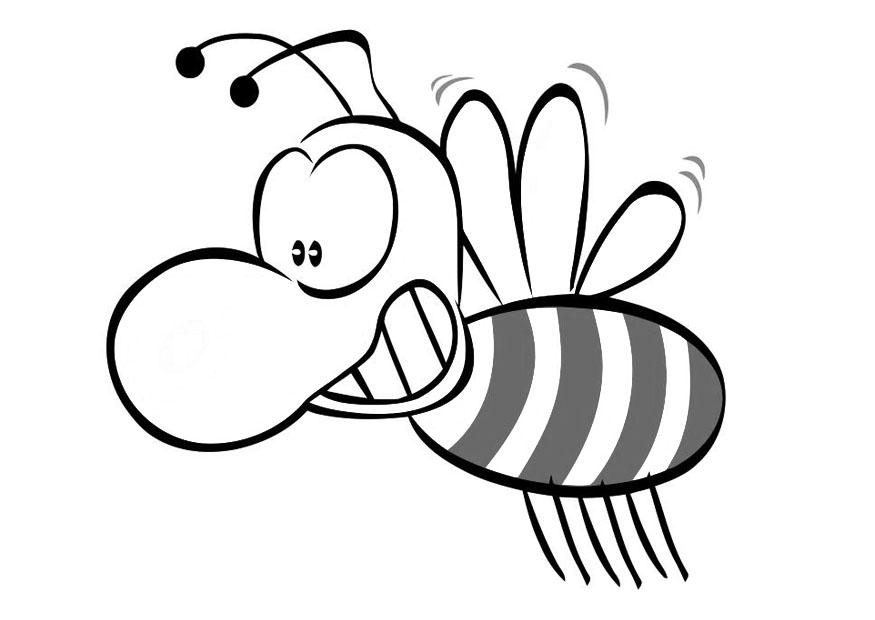 biene Malvorlage biene