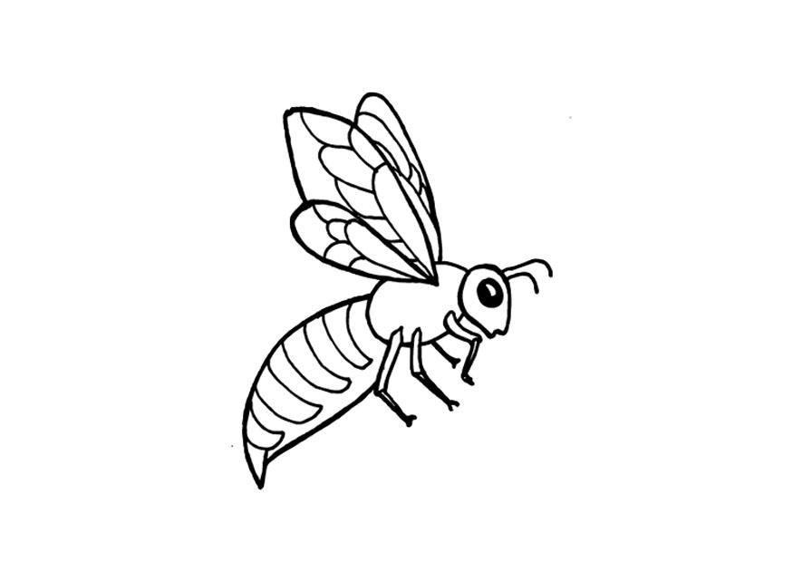 Malvorlage biene
