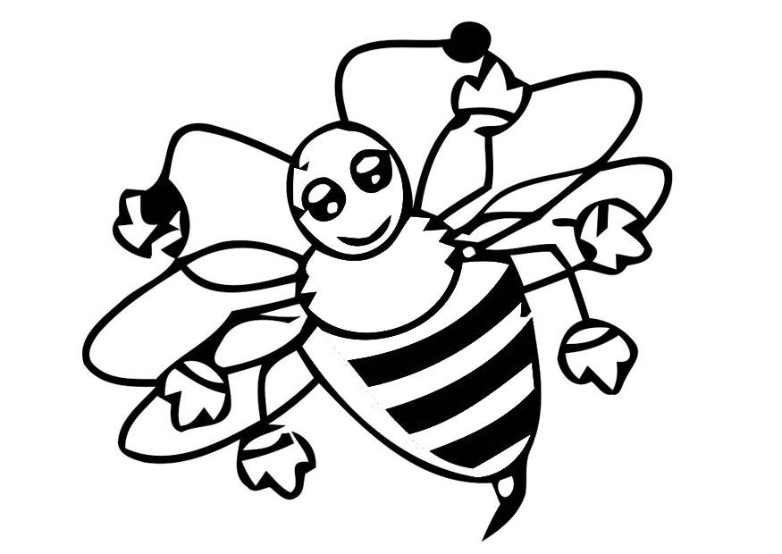 biene Malvorlage biene