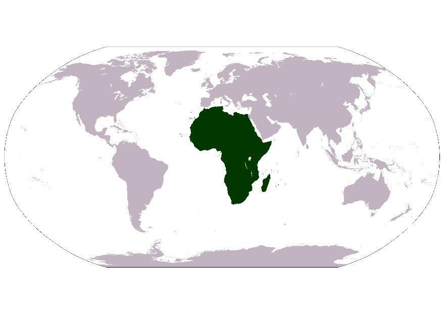 Bild afrika