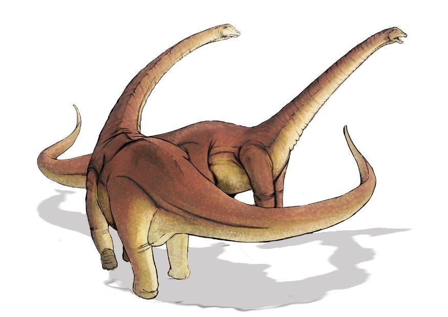 Bild alamosaurus