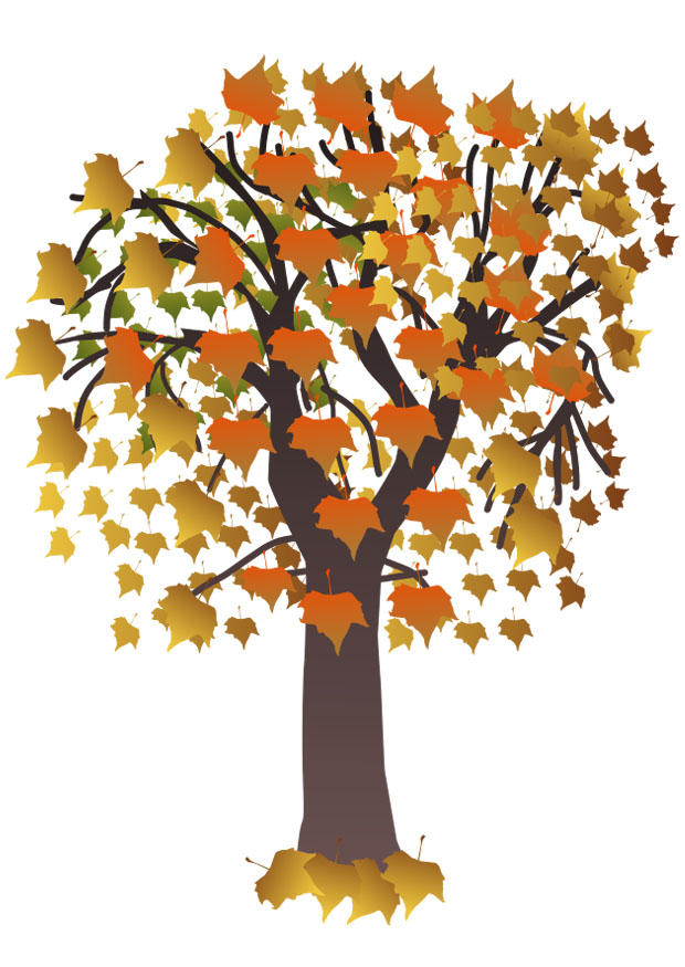 Bild baum im herbst