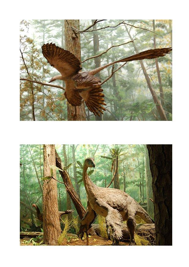 Bild dinosaurier mit federn