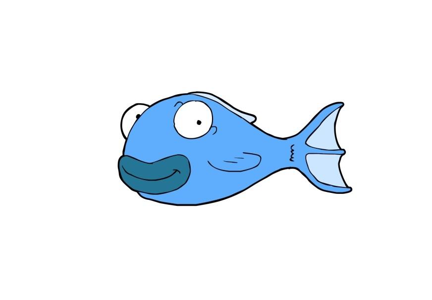 Bild fisch