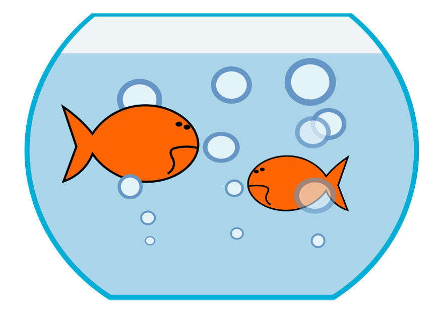 Bild goldfisch