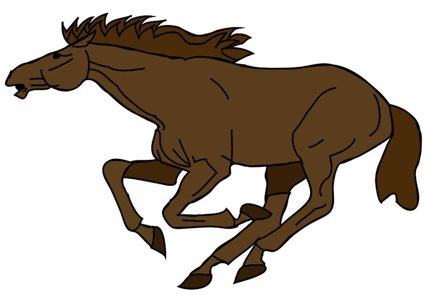 Bild pferd