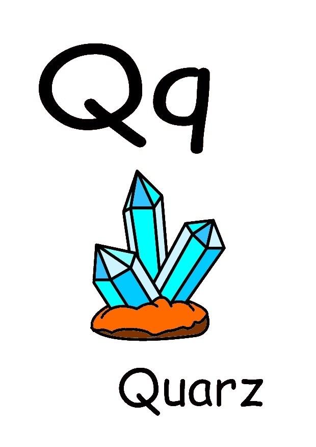 Bild q