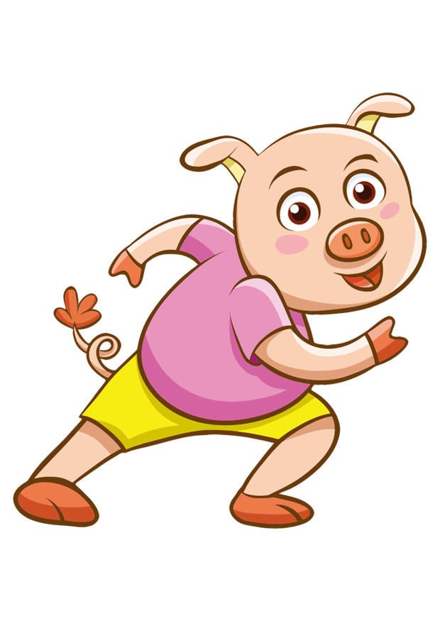Bild schwein