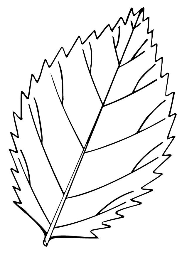 blatt Malvorlage blatt