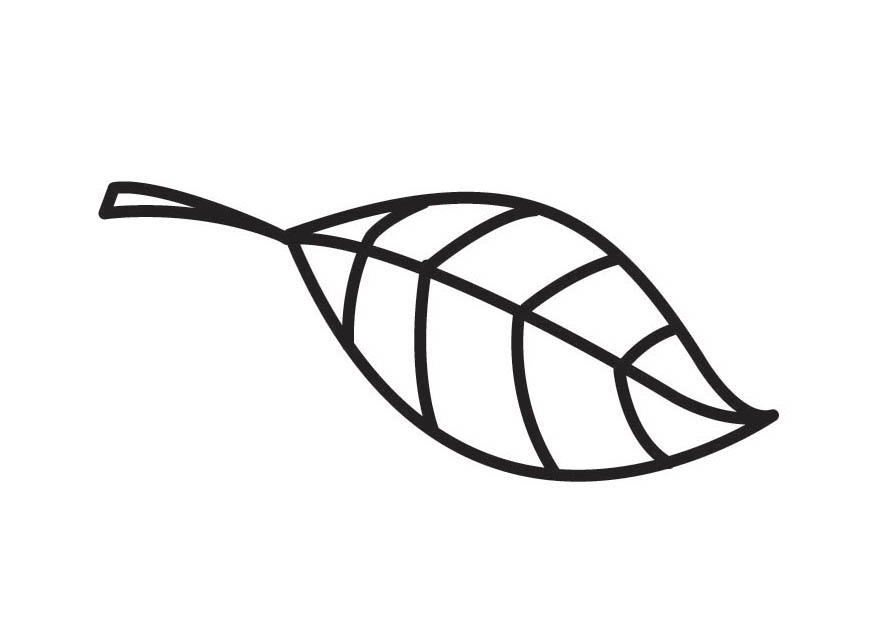blatt Malvorlage blatt