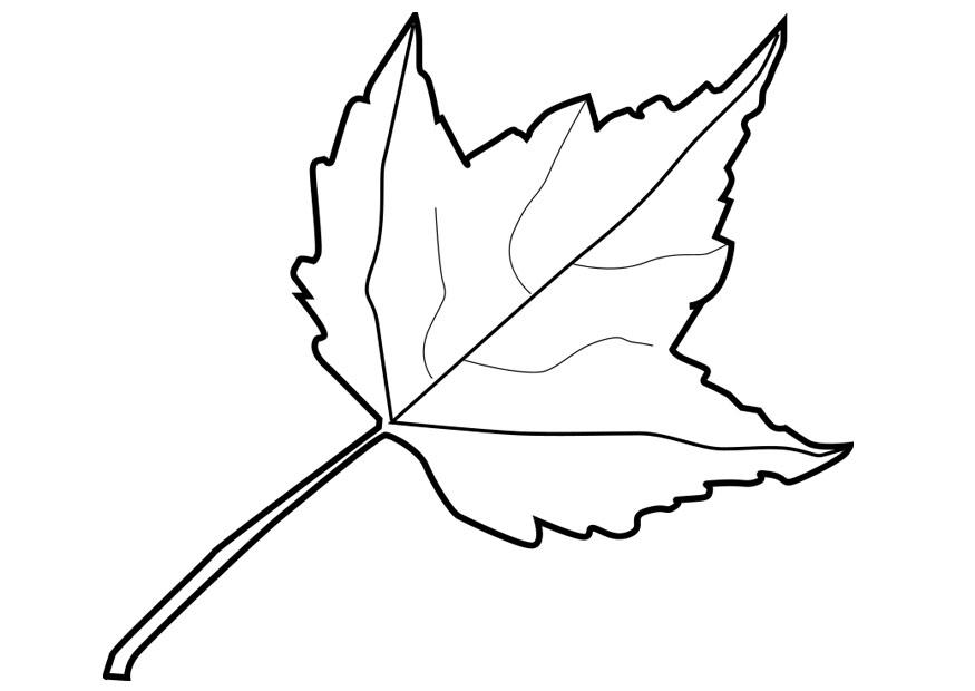 blatt Malvorlage blatt