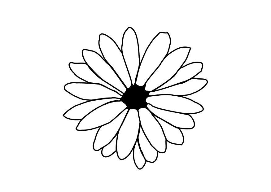 blume Malvorlage blume