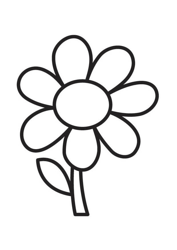 Malvorlage blume