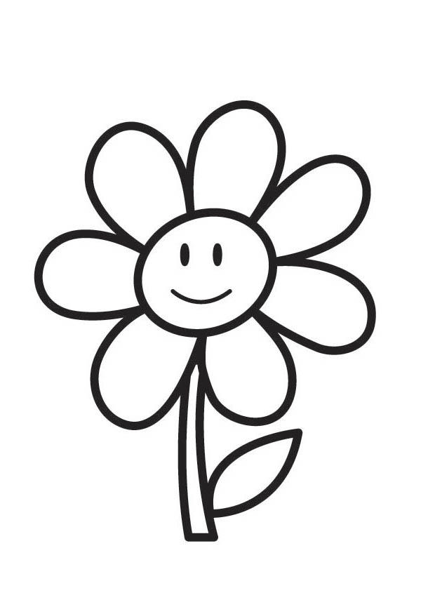 blume Malvorlage blume