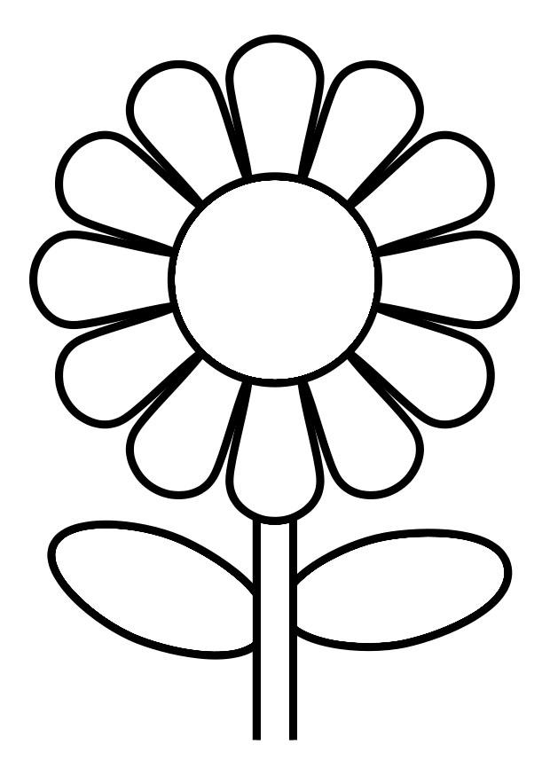 blume Malvorlage blume