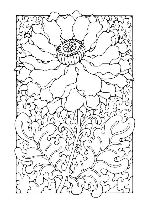 blume Malvorlage blume