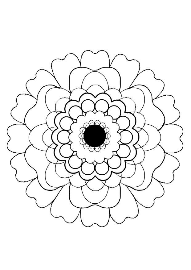 Blume