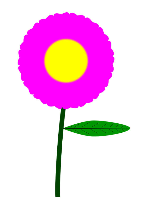 blume Bild blume