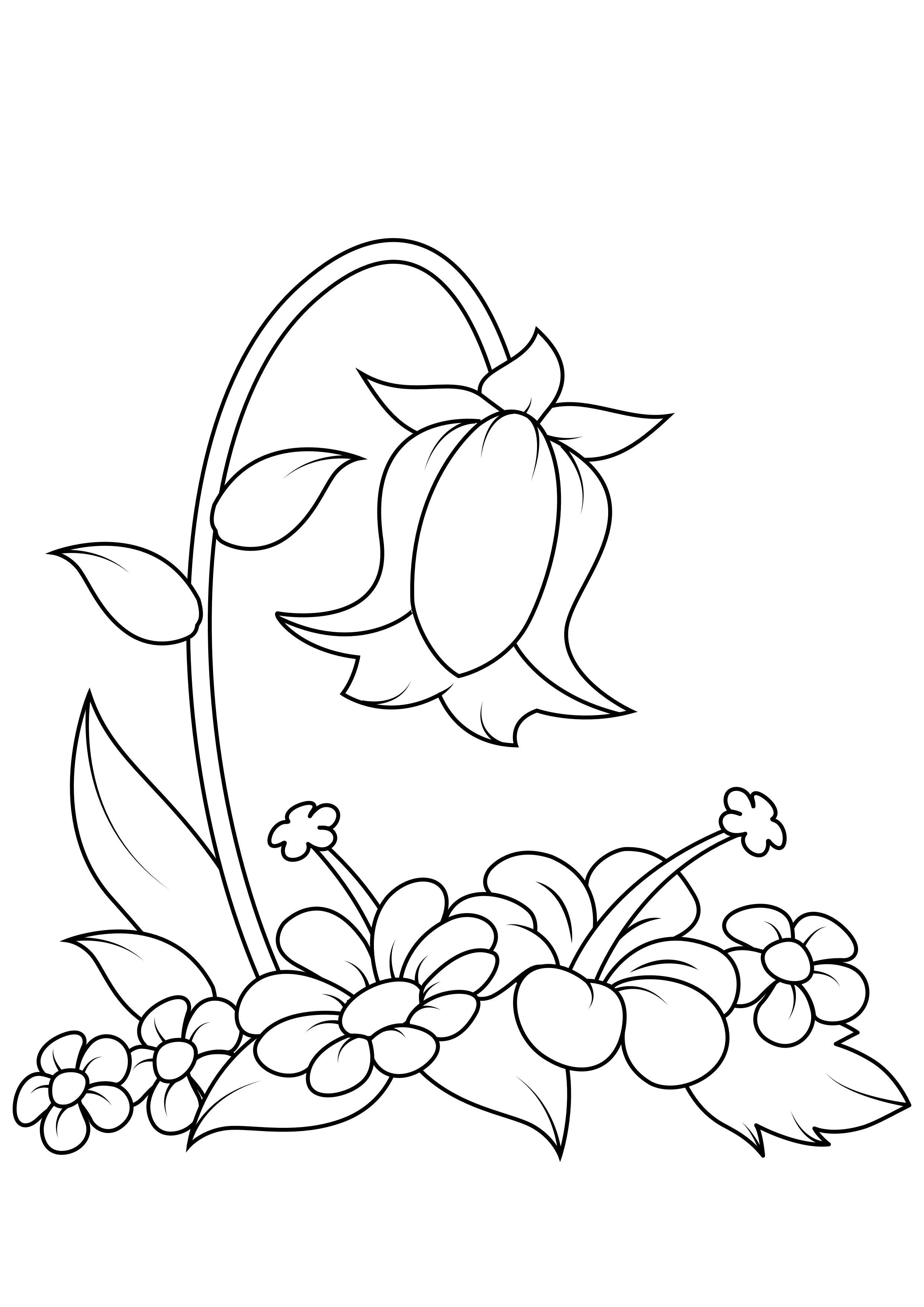 blume Malvorlage blume