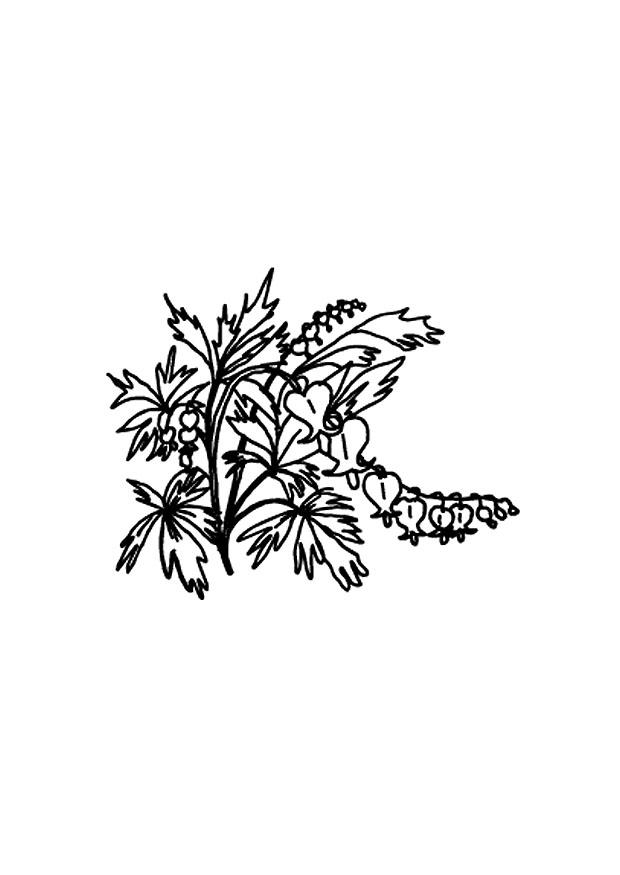 blumen Malvorlage blumen