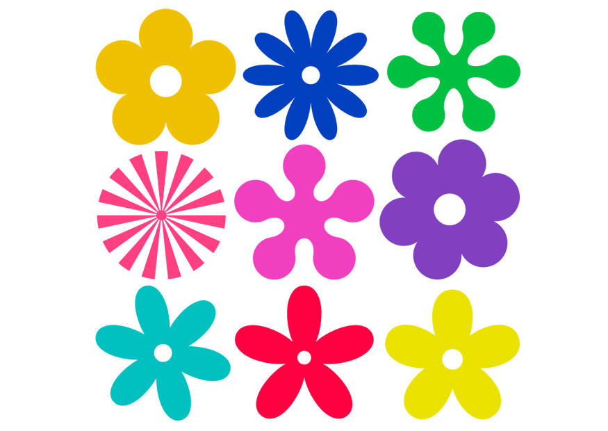 blumen Bild blumen
